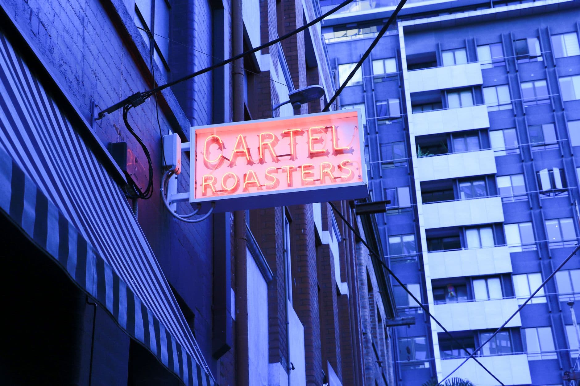 A vibrant neon sign for 'Cartel Roasters' in a Melbourne alleyway, showcasing urban cityscape charm.
