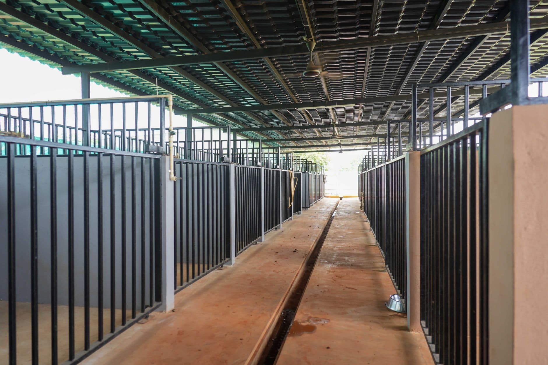 Interior view of large empty animal shelter stables with gated stalls.